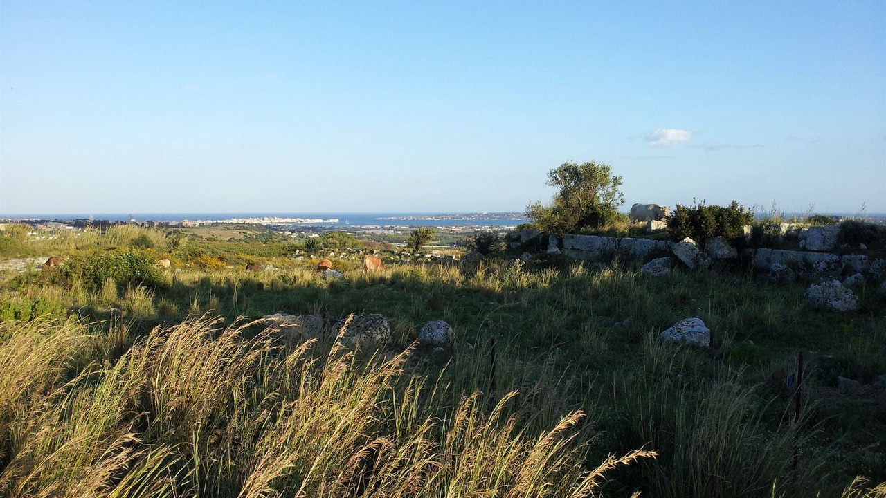 Photo of Outdoor in Belvedere