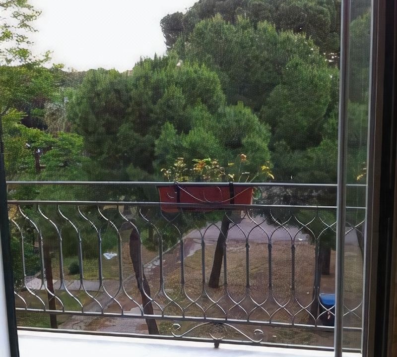 Photo of Others in Palermo