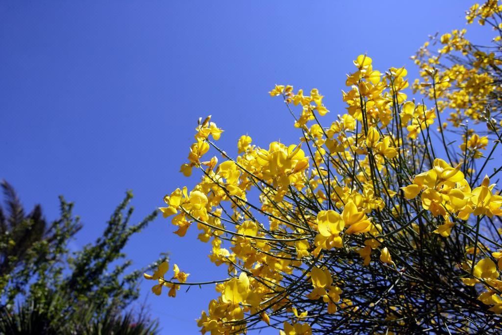 Photo of Outdoor in Linguaglossa