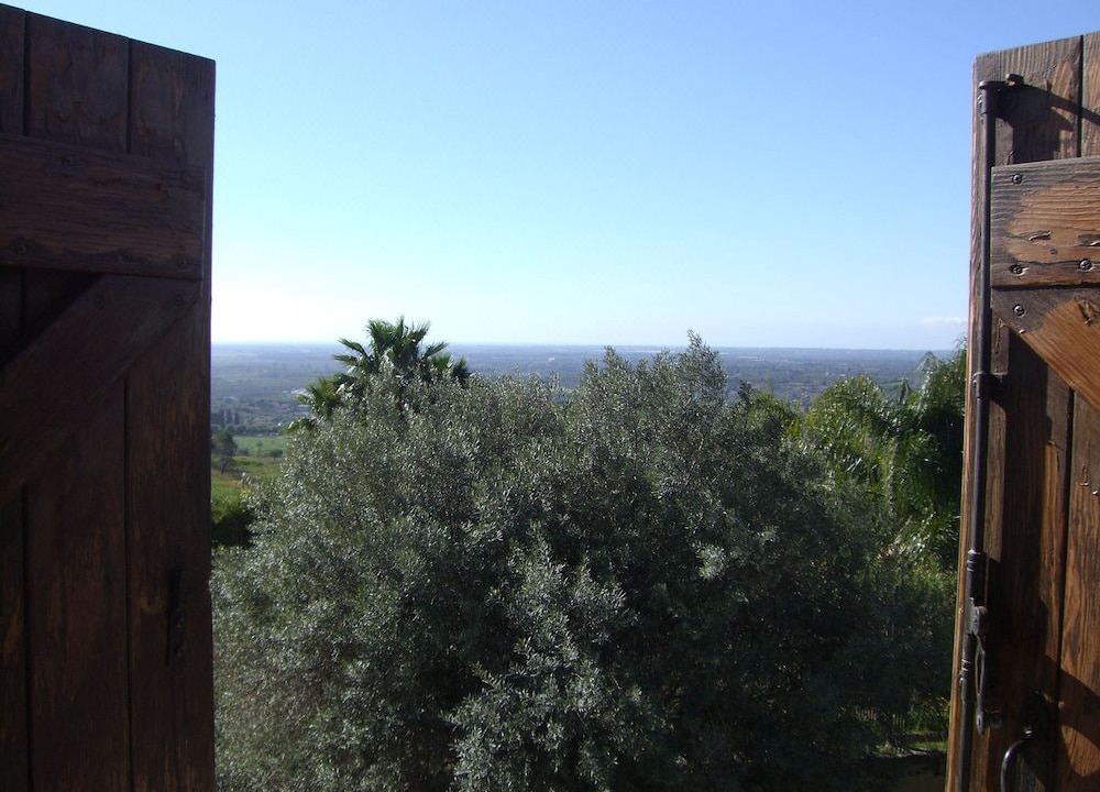Photo of Others in Belvedere
