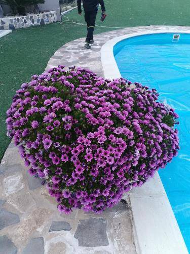 Photo of Outdoor in Santa Maria di Licodia