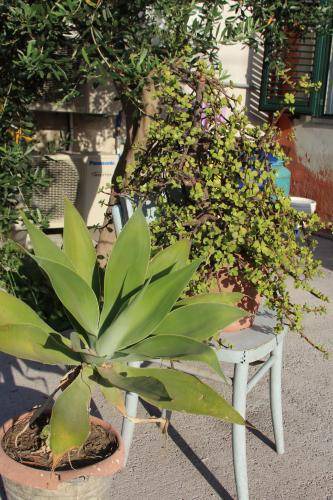Photo of Others in Contrada Pantano d'Arci