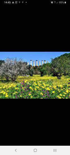 Photo of Others in Cianciana