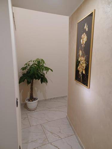 Photo of Others in Nicosia