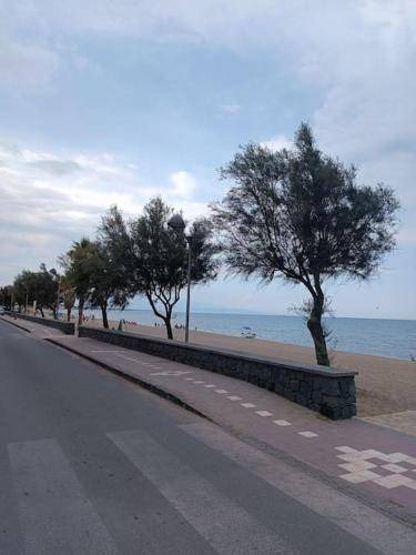 Photo of Others in Agnone