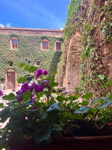 Photo of Others in Castelbuono