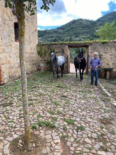 Photo of Others in San Mauro Castelverde