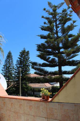 Photo of Others in Punta Milocca