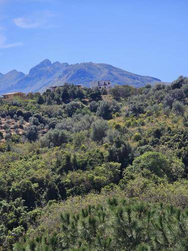 Photo of Others in Casteldaccia