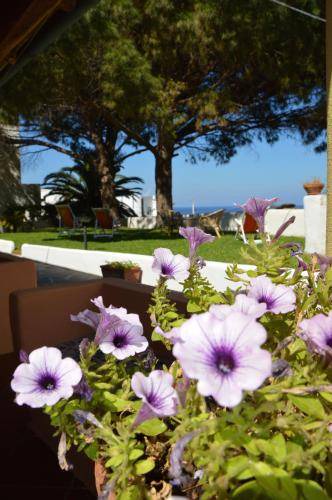Photo of Patio Balcony in Malfa