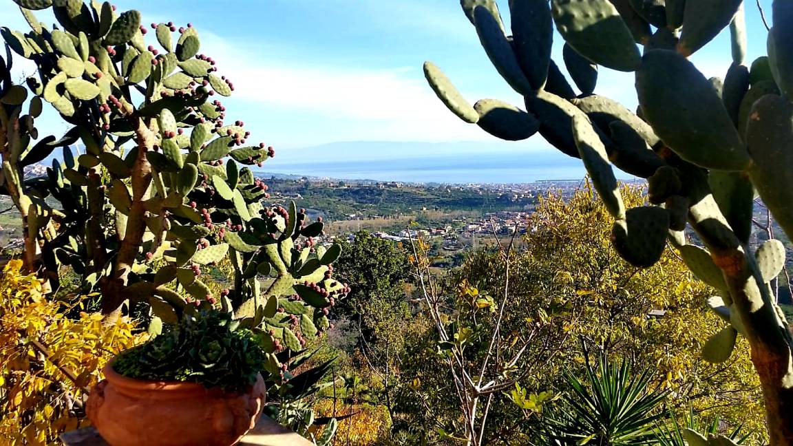 Photo of Others in Giarre