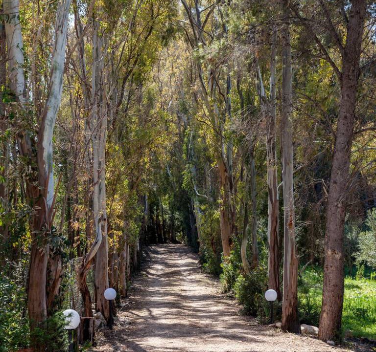 Photo of Outdoor in Scopello