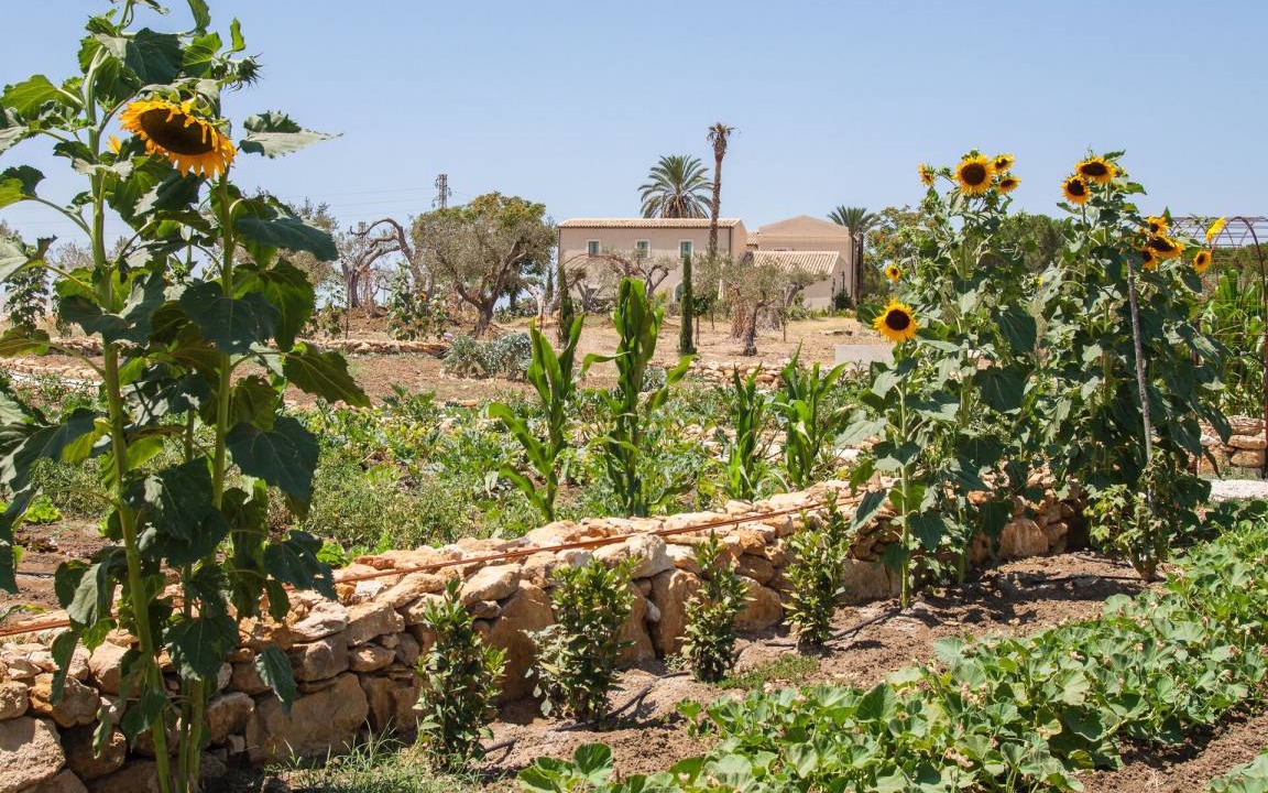 Photo of Others in Aragona