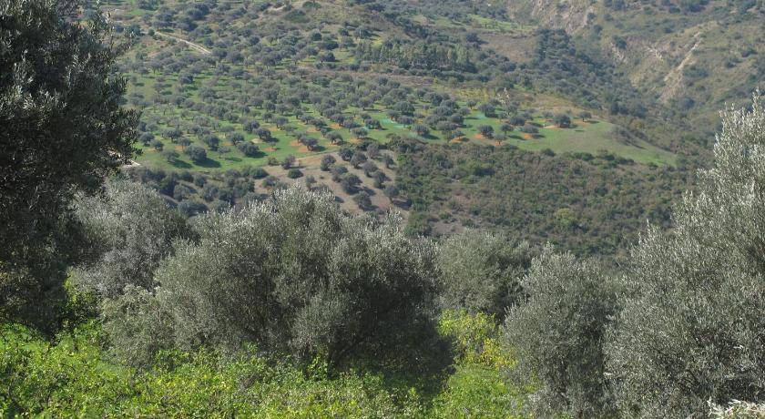 Photo of Others in Pettineo