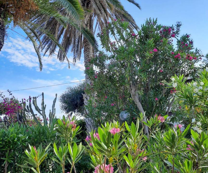 Photo of Others in Marina di Modica