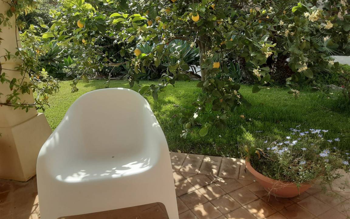 Photo of Others in Marsala