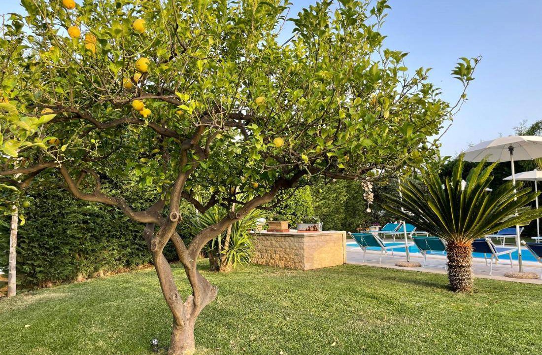 Photo of Others in Agrigento