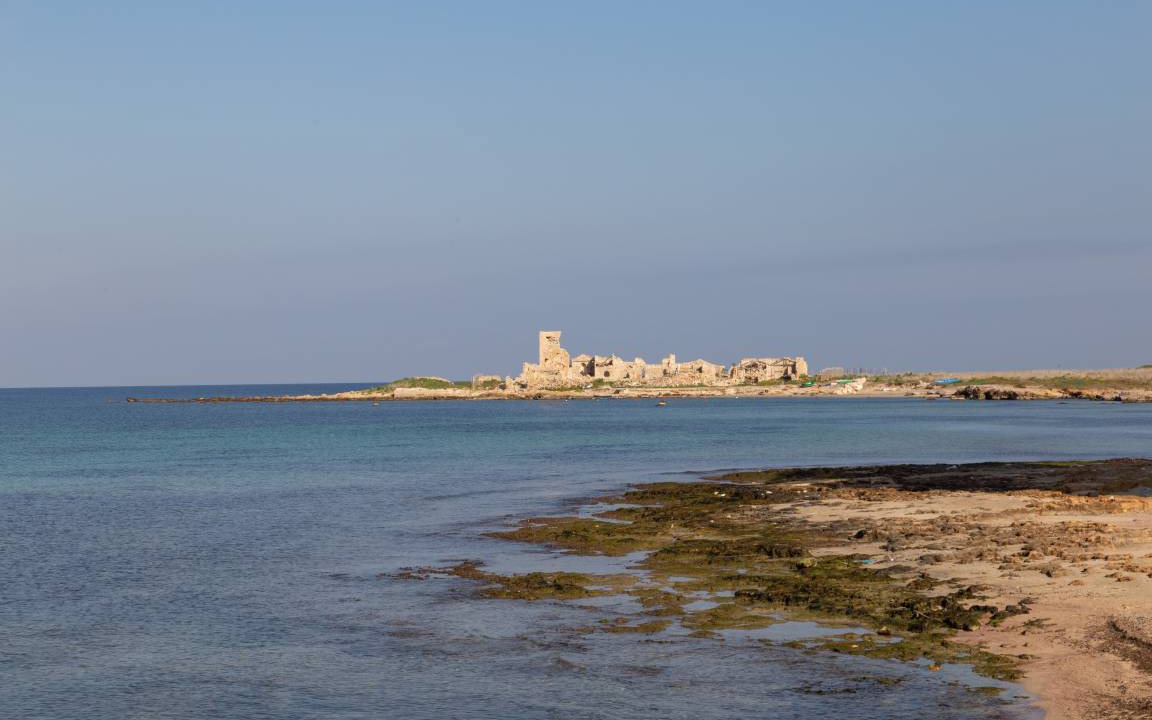 Photo of Others in Trapani