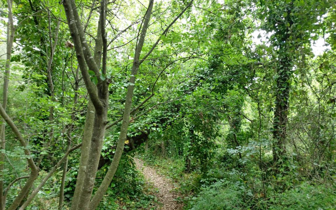 Photo of Others in Trecastagni