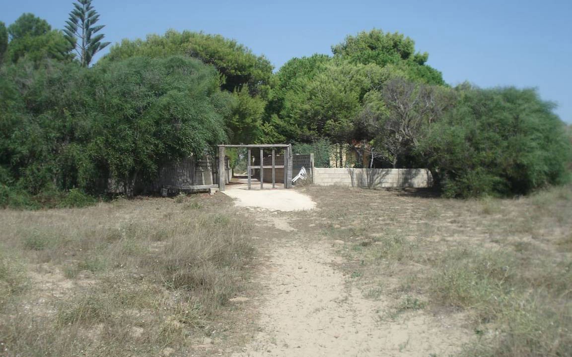 Photo of Others in Granelli