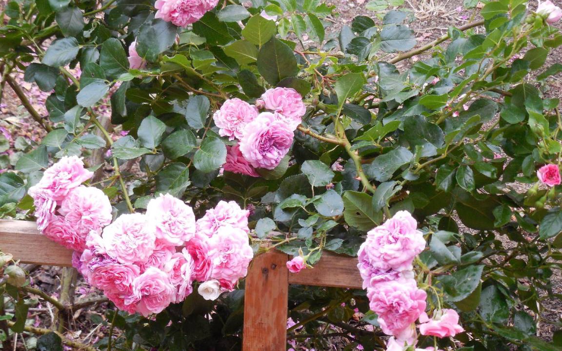 Photo of Outdoor in Geraci Siculo