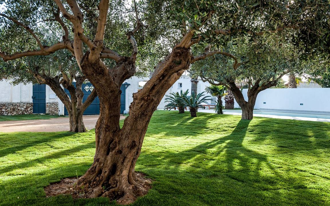 Photo of Others in Marsala