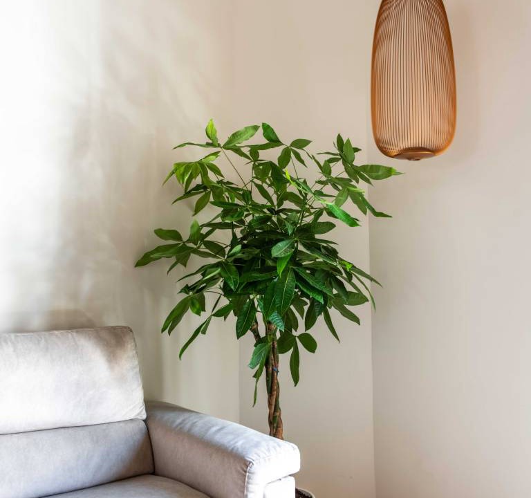 Photo of Livingroom in Castellammare