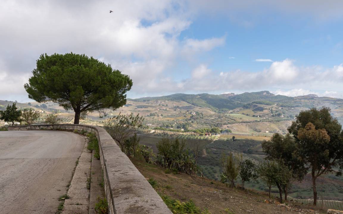 Photo of Others in Santa Ninfa