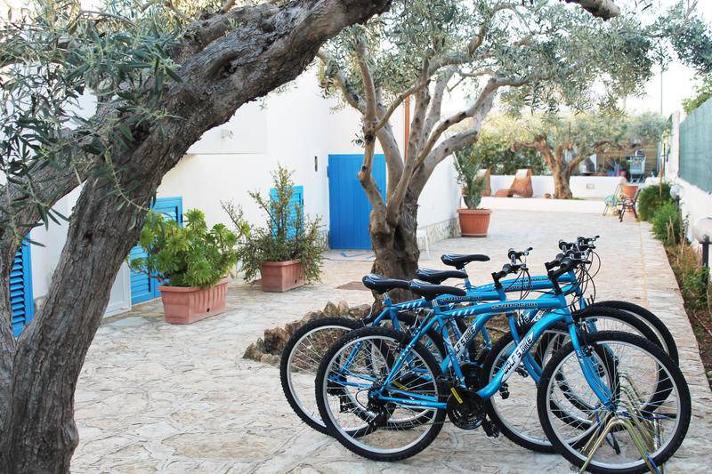 Photo of Others in Marsala