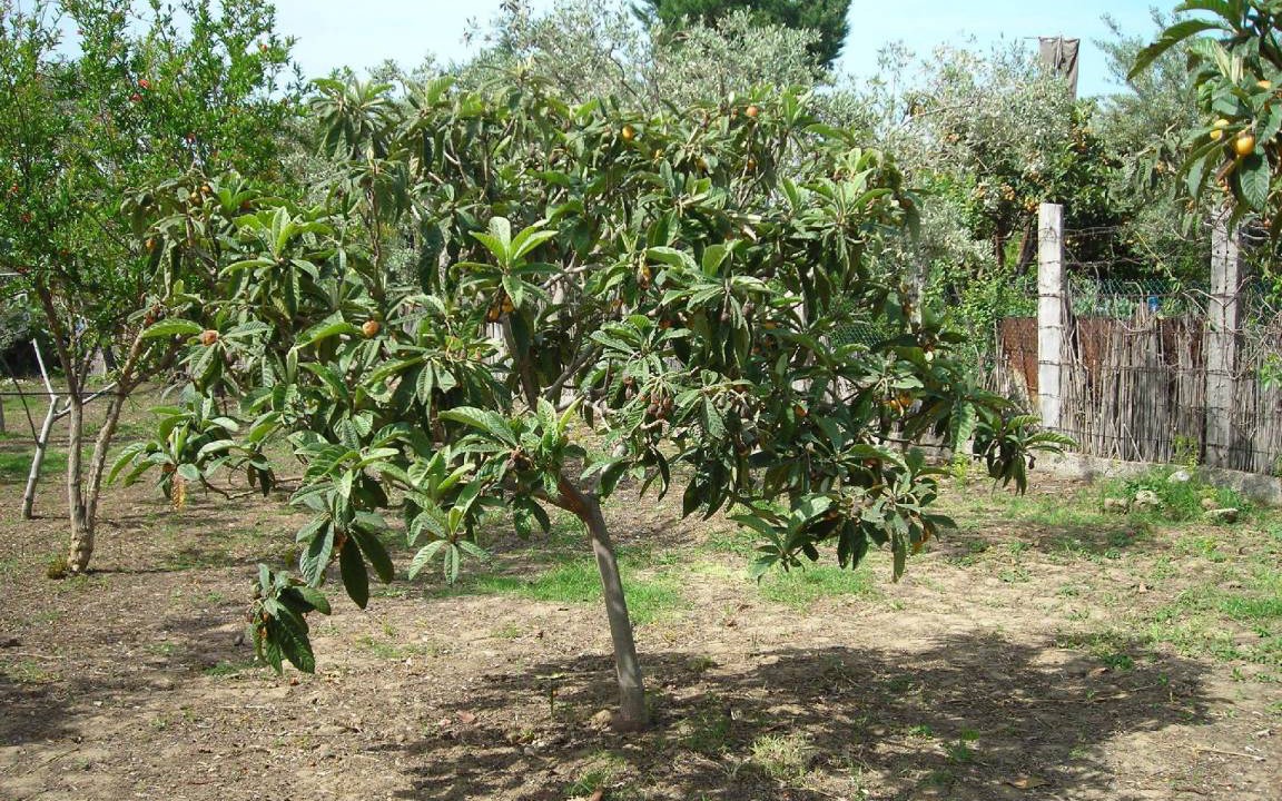 Photo of Outdoor in Acquedolci