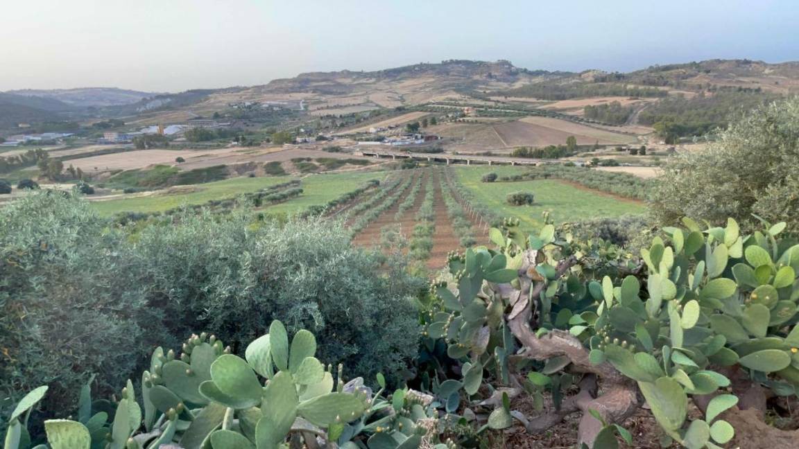Photo of Others in Agrigento
