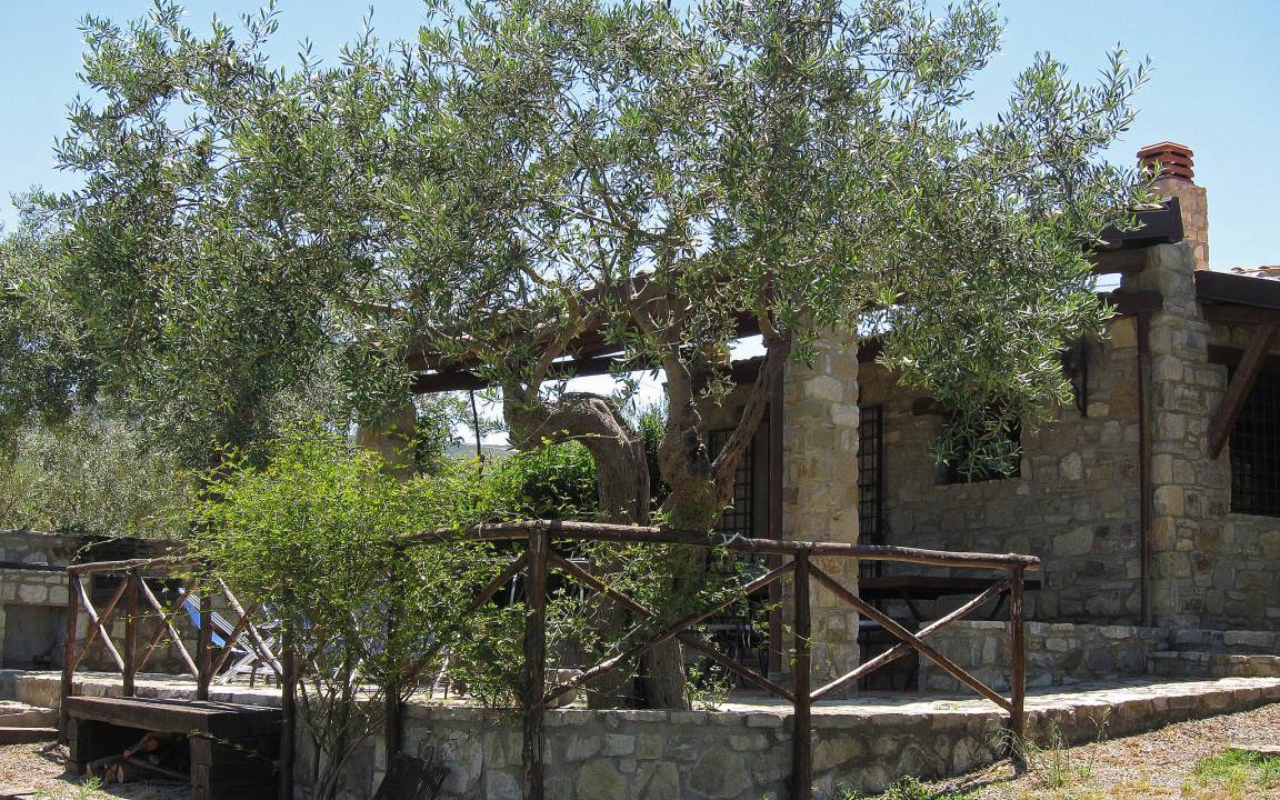 Photo of Others in Collesano