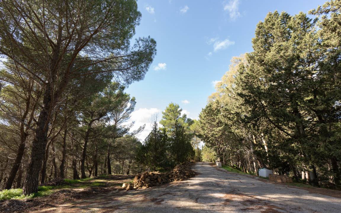 Photo of Others in Camporeale