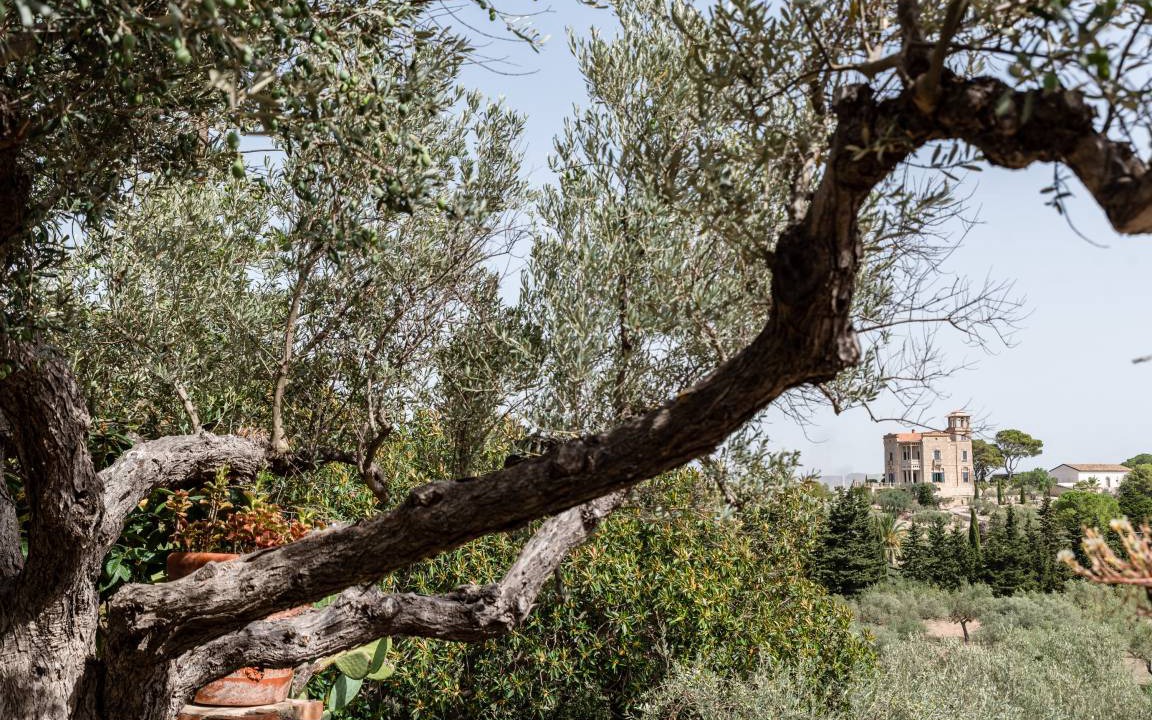 Photo of Others in Licata
