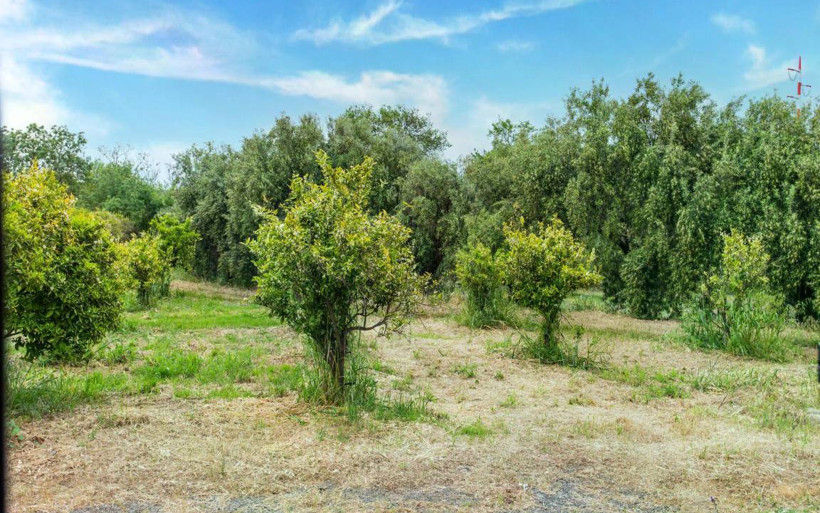 Photo of Others in Carlentini