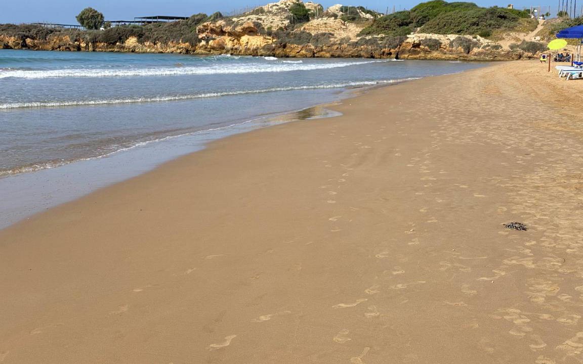 Photo of Others in Punta Braccetto