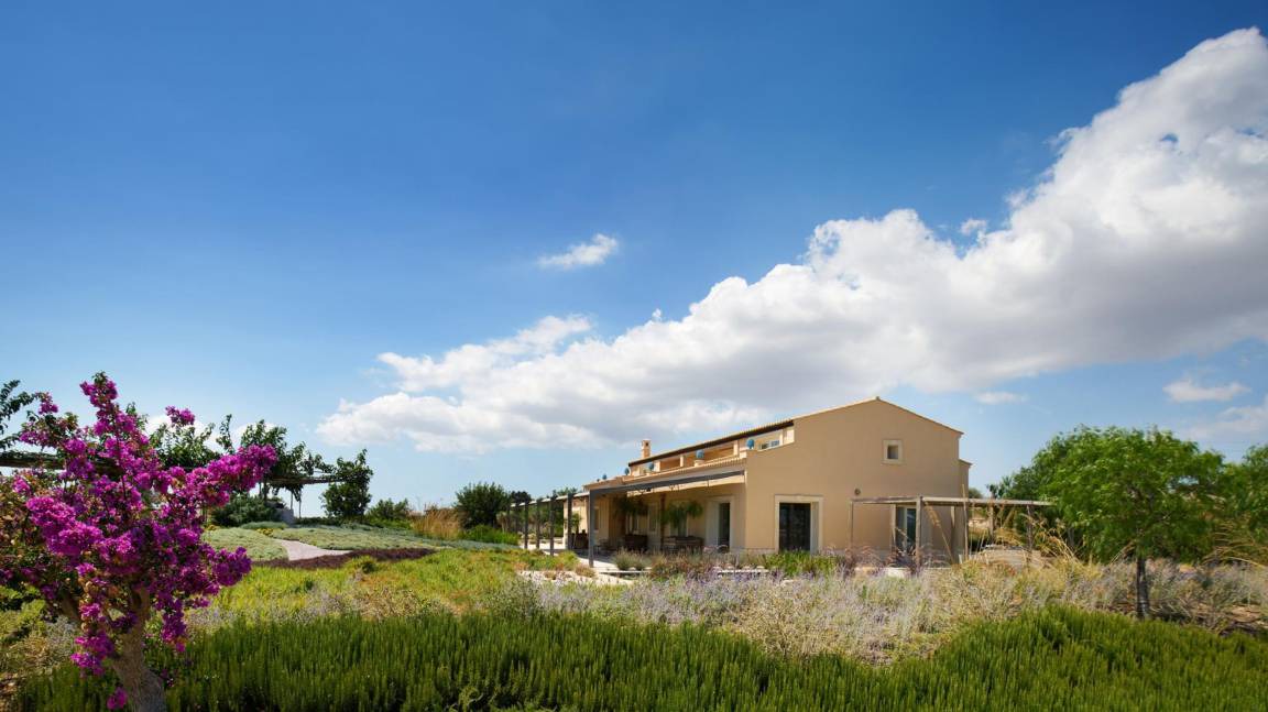Photo of Buildings in Noto