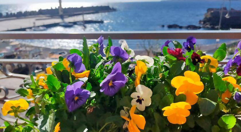 Photo of Patio Balcony in Stazzo