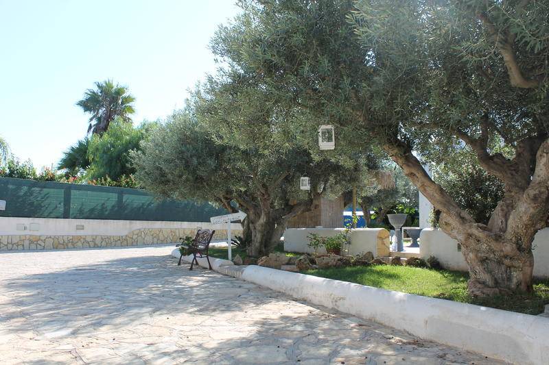 Photo of Others in Marsala