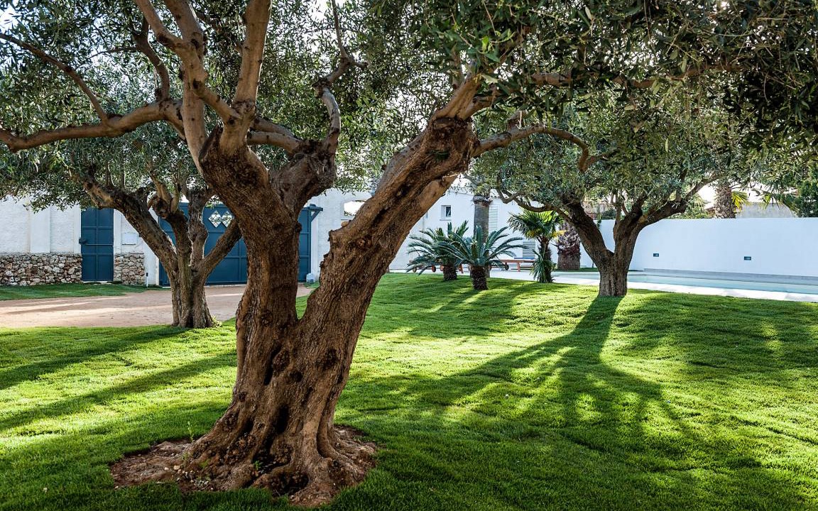 Photo of Others in Marsala
