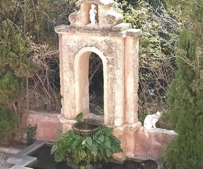 Photo of Others in Porticello