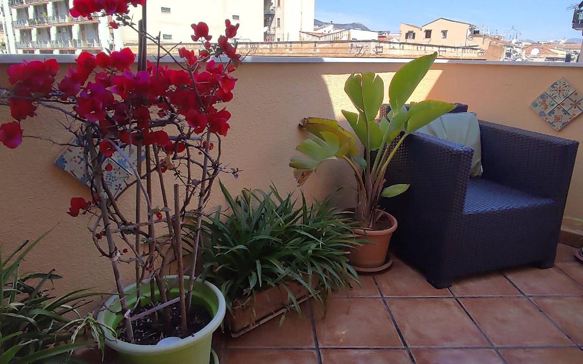 Photo of Patio Balcony in Palermo