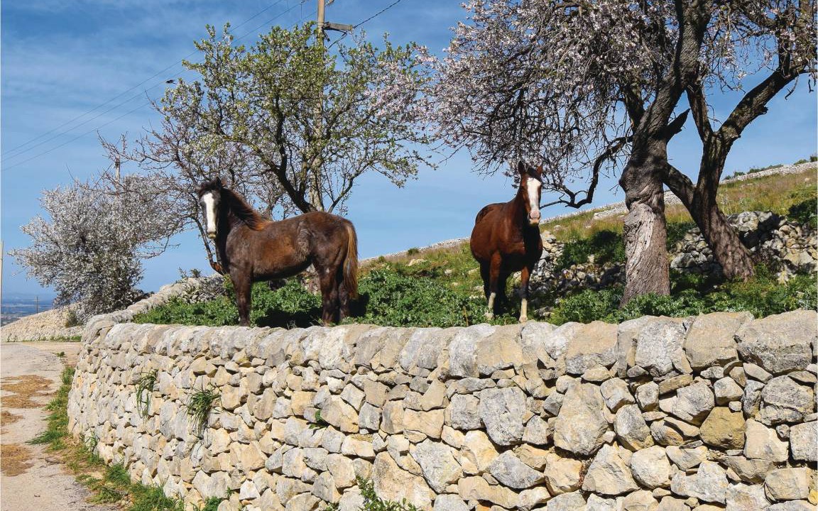 Photo of Others in Nicosia
