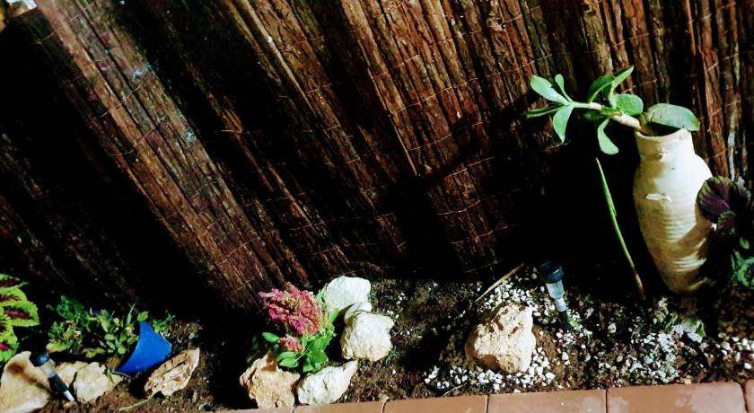 Photo of Others in Marsala