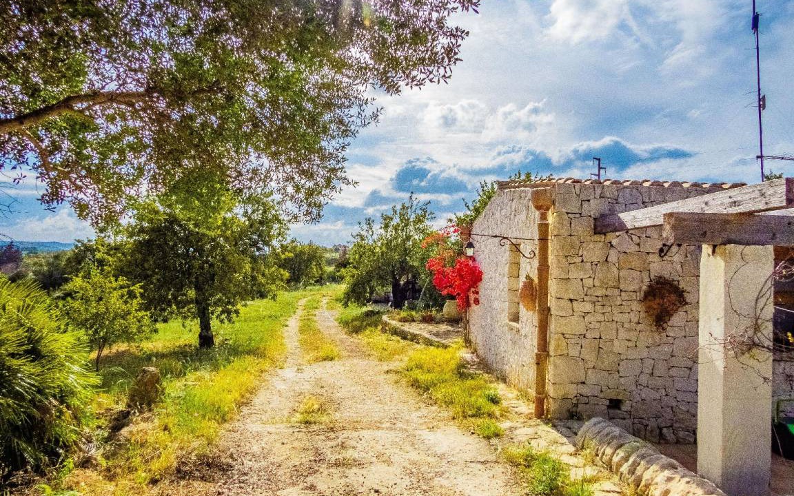 Photo of Others in Noto