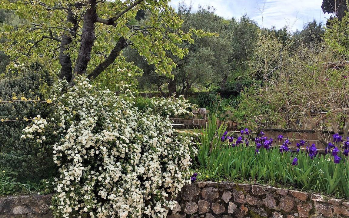 Photo of Others in Santo Stefano