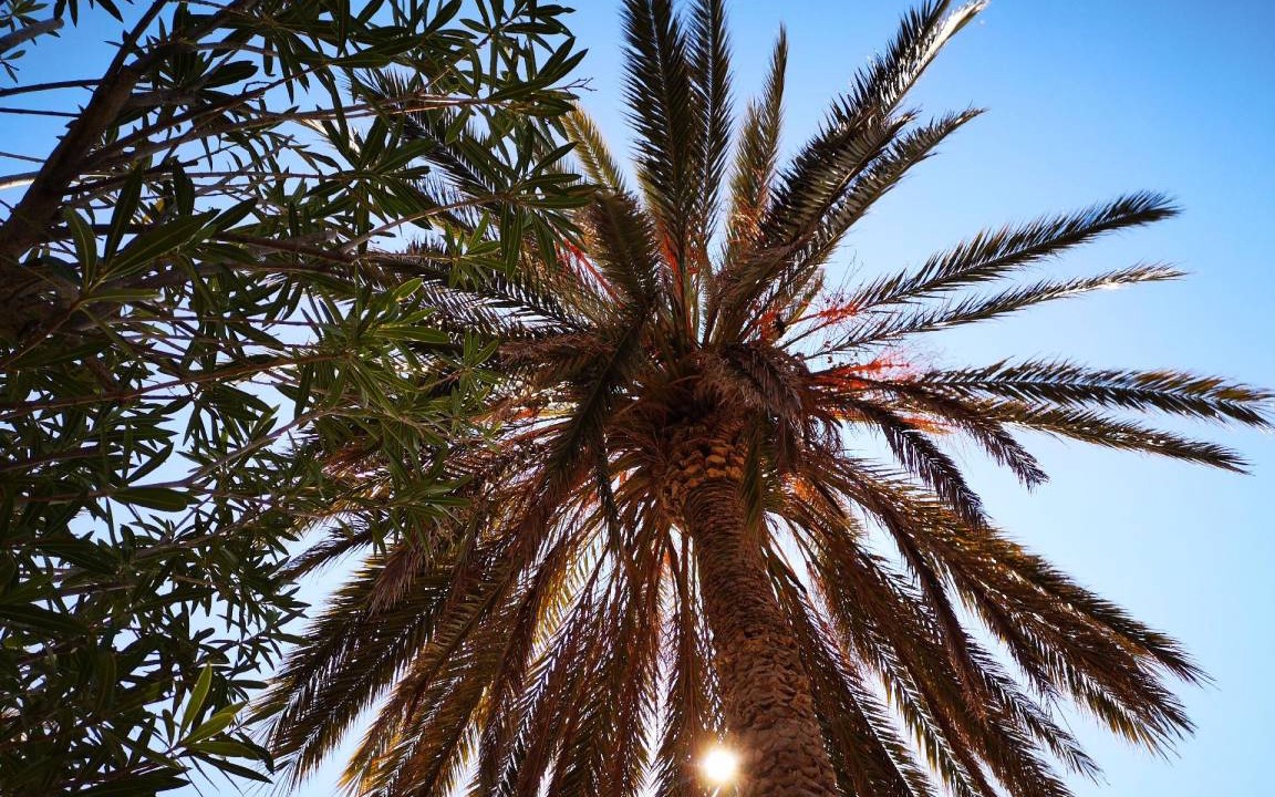 Photo of Outdoor in Marina di Modica