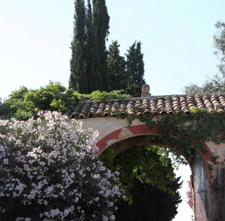 Photo of Others in Partinico