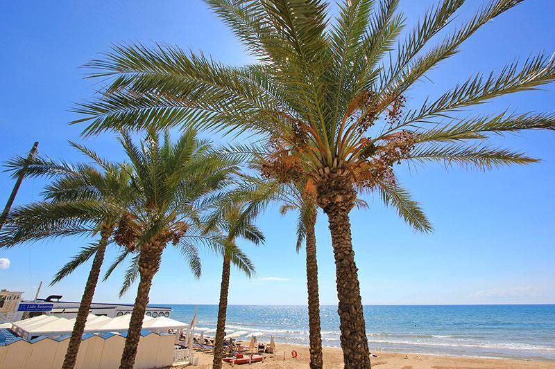 Photo of Others in Marina di Ragusa