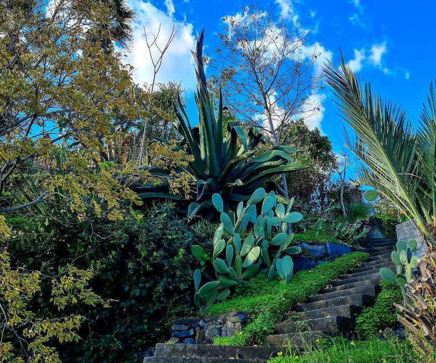 Photo of Others in Giarre